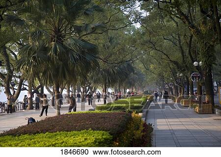 Tai-Chi In Urban Park View Large Photo Image Stock Image - Tai-Chi In Urban Park. Fotosearch