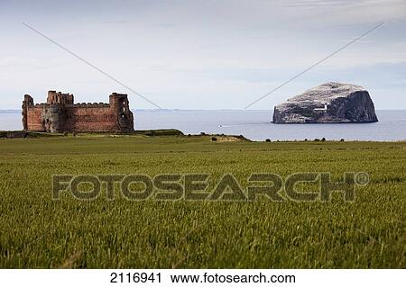 Tantallon Castle On The Water's Edge And Bass Rock Off The Coast; Lothian Scotland View Large Photo Image Stock Image - Tantallon Castle On The Water's Edge And Bass Rock Off The Coast; Lothian Scotland. Fotosearch