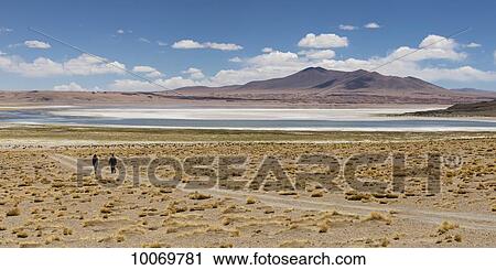 Tara Salt Flat; San Pedro de Atacama, Antofagasta Region, Chile View Large Photo Image Stock Image - Tara Salt Flat; San Pedro de Atacama, Antofagasta Region, Chile. Fotosearch