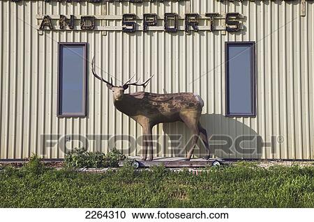 Stock Image - Target deer outside sports supplies store; saskatchewan canada. Fotosearch