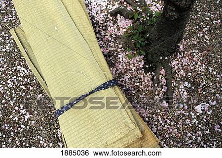 Stock Photograph - Tatami Mats And Cherry Blossom Metals. Fotosearch