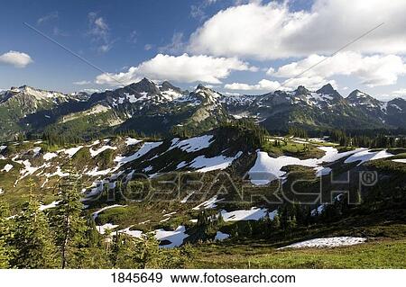 Stock Photo - Tatoosh Mountains In Spring Season; Mt Rainier National Park, Washington State, Usa. Fotosearch