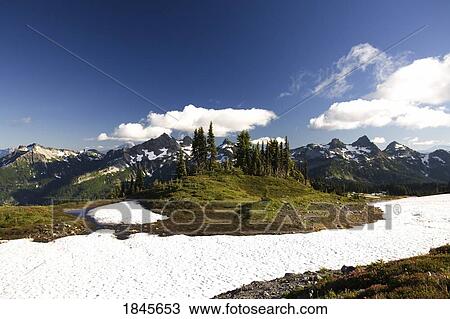 Stock Image - Tatoosh Mountains In Sprong Season; Mt Rainier National Park, Washington State, Usa. Fotosearch