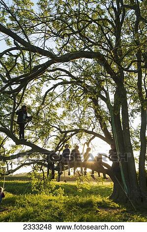 Stock Photo - Teenagers Sitting On Tree; Isfield, East Sussex, United Kingdom. Fotosearch