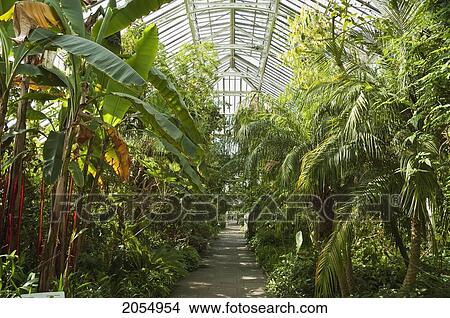 Picture - Temperate House, Royal Botanic Gardens, Kew, Surrey, England, United Kingdom. Fotosearch