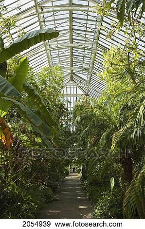 Stock Photo - Temperate House, Royal Botanic Gardens, Kew, Surrey, England, United Kingdom. Fotosearch