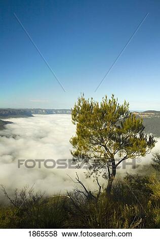 Temperature Inversion Shown By Low Lying Clouds View Large Photo Image Stock Photo - Temperature Inversion Shown By Low Lying Clouds. Fotosearch