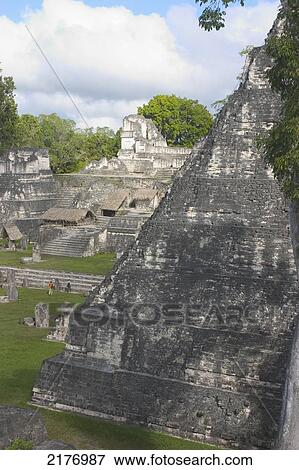 Stock Photo - Temple 1 Mayan Ruins Of Tikal Guatemala. Fotosearch