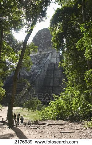 Stock Photo - Temple 5 Mayan Ruins Of Tikal Guatemala. Fotosearch