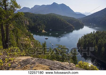 Tenedos Marine Park in Desolation Sound; British Columbia, Canada View Large Photo Image Stock Image - Tenedos Marine Park in Desolation Sound; British Columbia, Canada. Fotosearch