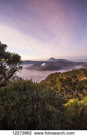 Tengger Caldera with steaming Mount Bromo, Mount Batok and Mount Semeru in the background, seen from the western viewpoint at dawn, Bromo Tengger Semeru National Park, East Java, Indonesia View Large Photo Image Stock Image - Tengger Caldera with steaming Mount Bromo, Mount Batok and Mount Semeru in the background, seen from the western viewpoint at dawn, Bromo Tengger Semeru National Park, East Java, Indonesia. Fotosearch