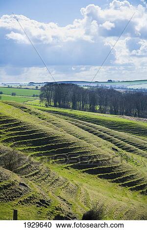 Terracing Cut Into The Hillside; Vale Of The White Horse, Oxfordshire, Uk View Large Photo Image Stock Image - Terracing Cut Into The Hillside; Vale Of The White Horse, Oxfordshire, Uk. Fotosearch