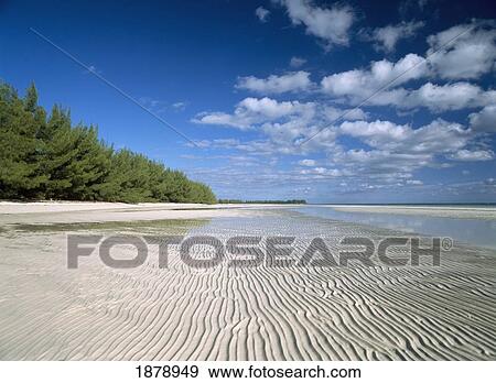 Textured Sand At Low Tide, Low Angle View View Large Photo Image Stock Photo - Textured Sand At Low Tide, Low Angle View. Fotosearch