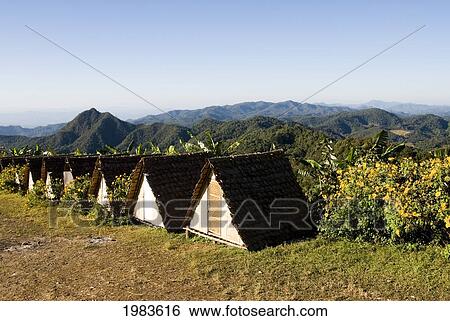 Stock Photograph - Thailand, Bungalows in Toong Bua Tong Forest Park; Mae Hong Son Province. Fotosearch