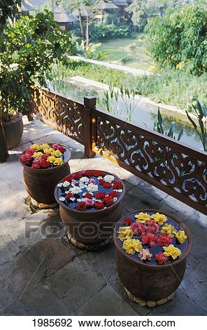 Stock Image - Thailand, Chiang Mai, The Regent Resort, Flowers Floating In Pots Along Walkway Overlooking Resort.. Fotosearch