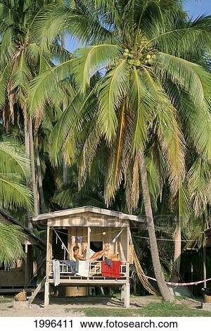 Stock Image - Thailand, Koh Phangan, Cottage At Haad Rin, Man In Hammock Distant View, Palms A74G. Fotosearch
