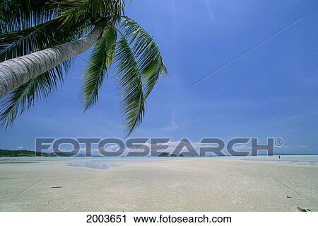Thailand, Phangna Bay, View From Shore, Clear, Shallow Waters View Large Photo Image Stock Image - Thailand, Phangna Bay, View From Shore, Clear, Shallow Waters. Fotosearch