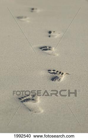 Stock Image - Thailand, Phuket, Close-Up Of Footprints Along The Seashore.. Fotosearch