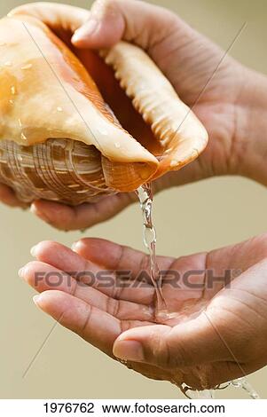 Stock Image - Thailand, Phuket, Womans Hands Pouring Water From Tropical Seashell Into Hand.. Fotosearch