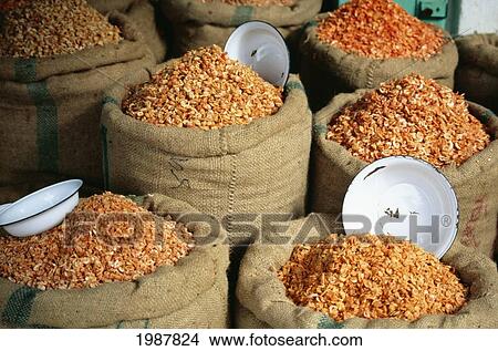 Thailand, Sacks of dried shrimp at open market; Bangkok View Large Photo Image Picture - Thailand, Sacks of dried shrimp at open market; Bangkok. Fotosearch