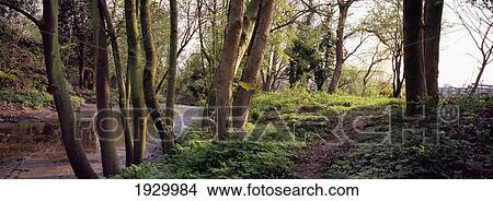 Thames path in West London, near Richmond; London, England View Large Photo Image Picture - Thames path in West London, near Richmond; London, England. Fotosearch