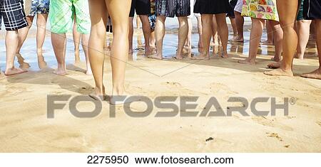 Stock Image - The bare feet of tourists standing on the beach at the water's edge; Hawaii, United States of America. Fotosearch