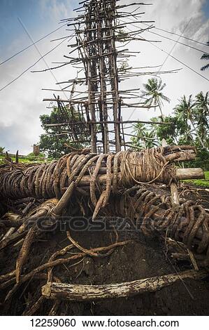 Stock Image - The base of a land diving tower; Pentecost Island, Vanuatu. Fotosearch