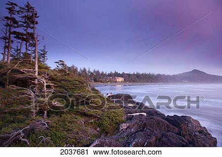 Stock Image - The Beach At Cox Bay At Sunset Near Tofino; British Columbia Canada. Fotosearch