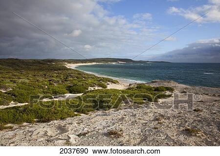 Stock Image - The Beach At Hamelin Bay; Western Australia Australia. Fotosearch