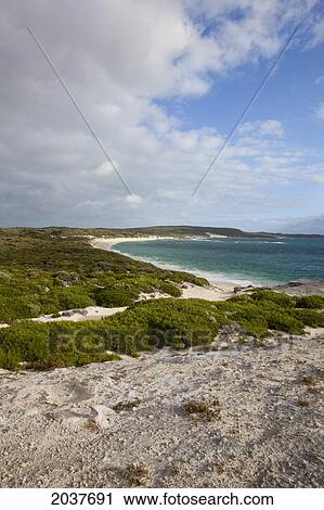 Stock Image - The Beach At Hamelin Bay; Western Australia Australia. Fotosearch