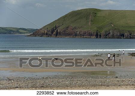 The beach at Manorbier. Once described as 'the pleasantest place in Wales'. Pembrokeshire. Wales. Cymru. UK. United Kingdom. View Large Photo Image Stock Image - The beach at Manorbier. Once described as 'the pleasantest place in Wales'. Pembrokeshire. Wales. Cymru. UK. United Kingdom.. Fotosearch