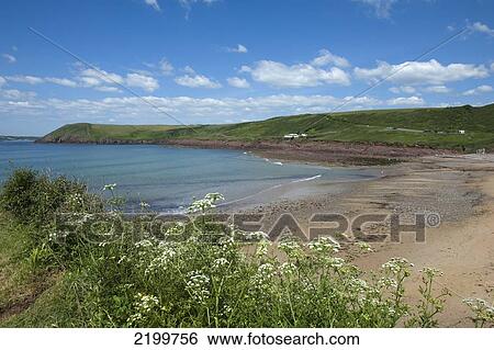 The beach at Manorbier. Once described as 'the pleasantest place in Wales'. Pembrokeshire. Wales. Cymru. UK. United Kingdom. View Large Photo Image Stock Photograph - The beach at Manorbier. Once described as 'the pleasantest place in Wales'. Pembrokeshire. Wales. Cymru. UK. United Kingdom.. Fotosearch