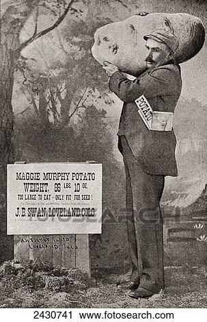 The biggest potato on record in 1879. The Maggie Murphy potato weighing 86lbs. 10oz. From The Strand Magazine published 1897. View Large Photo Image Stock Image - The biggest potato on record in 1879. The Maggie Murphy potato weighing 86lbs. 10oz. From The Strand Magazine published 1897.. Fotosearch
