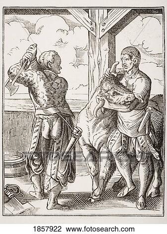 The Butcher And His Servant. 19Th Century Reproduction Of 16Th Century Engraving By Jost Amman View Large Photo Image Stock Image - The Butcher And His Servant. 19Th Century Reproduction Of 16Th Century Engraving By Jost Amman. Fotosearch