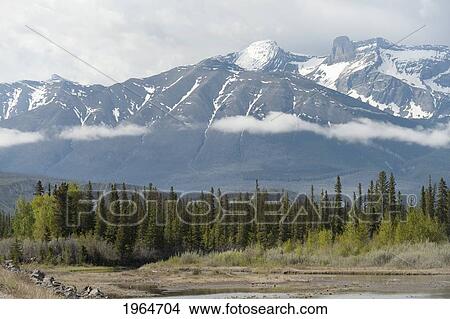 The Canadian Rocky Mountains; Jasper Alberta Canada View Large Photo Image Picture - The Canadian Rocky Mountains; Jasper Alberta Canada. Fotosearch