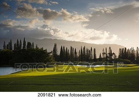 The Coastal Makai Golf Course; Princeville, Kauai, Hawaii View Large Photo Image Stock Image - The Coastal Makai Golf Course; Princeville, Kauai, Hawaii. Fotosearch