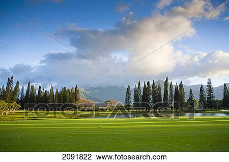 Stock Image - The Coastal Makai Golf Course; Princeville, Kauai, Hawaii. Fotosearch