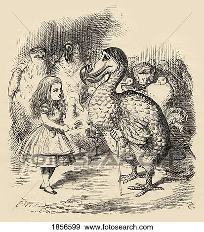 Stock Photo - The Dodo Solemnly Presents Alice With A Thimble Illustration By John Tenniel From The Book Alices's Adventures In Wonderland By Lewis Carroll Published 1891. Fotosearch