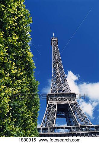 Stock Photography - The Eiffel Tower And Shrub. Fotosearch