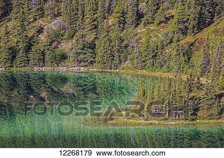The emerald green waters of Emerald Lake near Carcross; Yukon, Canada View Large Photo Image Stock Photo - The emerald green waters of Emerald Lake near Carcross; Yukon, Canada. Fotosearch