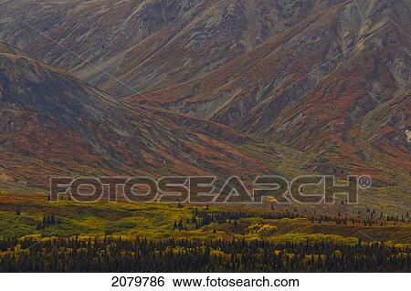 The Fall Colours On The St. Elias Mountains Along The Haines Highway, Yukon. View Large Photo Image Stock Photograph - The Fall Colours On The St. Elias Mountains Along The Haines Highway, Yukon.. Fotosearch