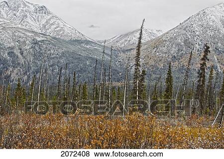 The First Snow Of The Year Blankets The Mountains And Willows Outside Of Whitehorse, Yukon, Canada View Large Photo Image Stock Photo - The First Snow Of The Year Blankets The Mountains And Willows Outside Of Whitehorse, Yukon, Canada. Fotosearch