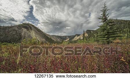 Stock Photography - The foliage and mountains surrounding the old village site of Rampart House; Yukon, Canada. Fotosearch