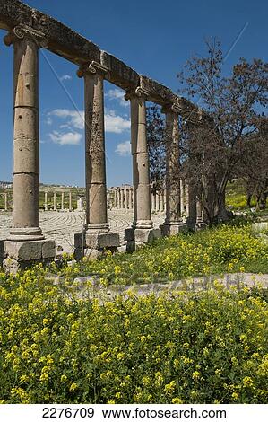 Stock Photo - The Forum, Roman ruins; Jerash, Jordan. Fotosearch
