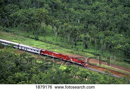 Stock Photograph - The Ghan Train Going Through Forest. Fotosearch