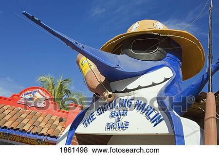 The Giggling Bar And Grille, Cabo San Lucas, Baja California, Mexico View Large Photo Image Stock Photo - The Giggling Bar And Grille, Cabo San Lucas, Baja California, Mexico. Fotosearch