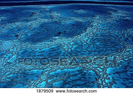The Great Barrier Reef, High Angle View View Large Photo Image Stock Photo - The Great Barrier Reef, High Angle View. Fotosearch