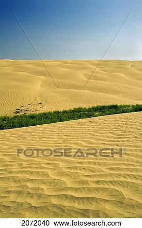 The Great Sandhills, Near Sceptre, Saskatchewan View Large Photo Image Stock Image - The Great Sandhills, Near Sceptre, Saskatchewan. Fotosearch
