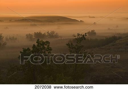 Stock Photo - The Great Sandhills, Near Sceptre, Saskatchewan. Fotosearch
