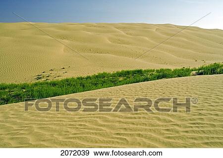 The Great Sandhills, Near Sceptre, Saskatchewan View Large Photo Image Stock Photo - The Great Sandhills, Near Sceptre, Saskatchewan. Fotosearch